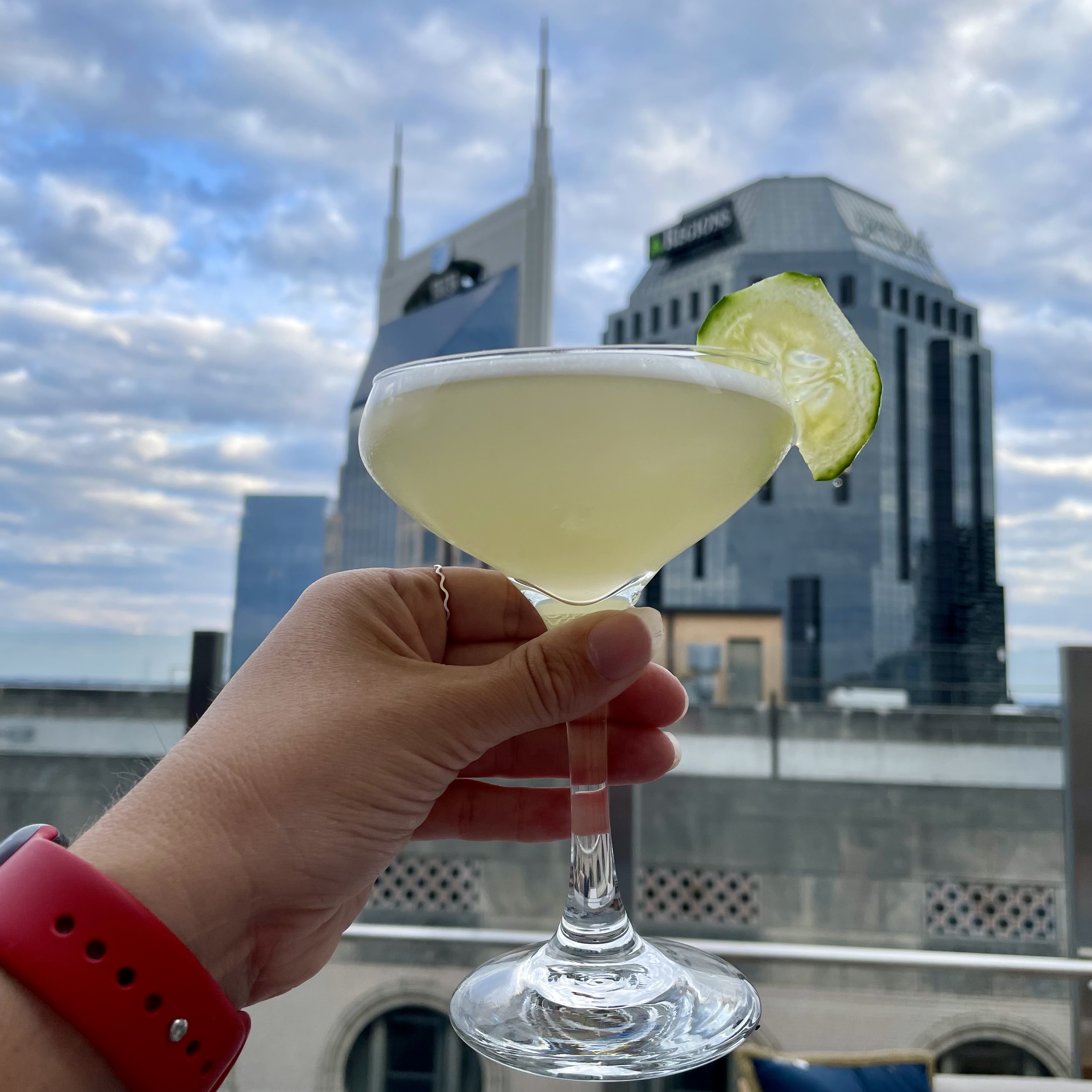 Rare Bird Nashville